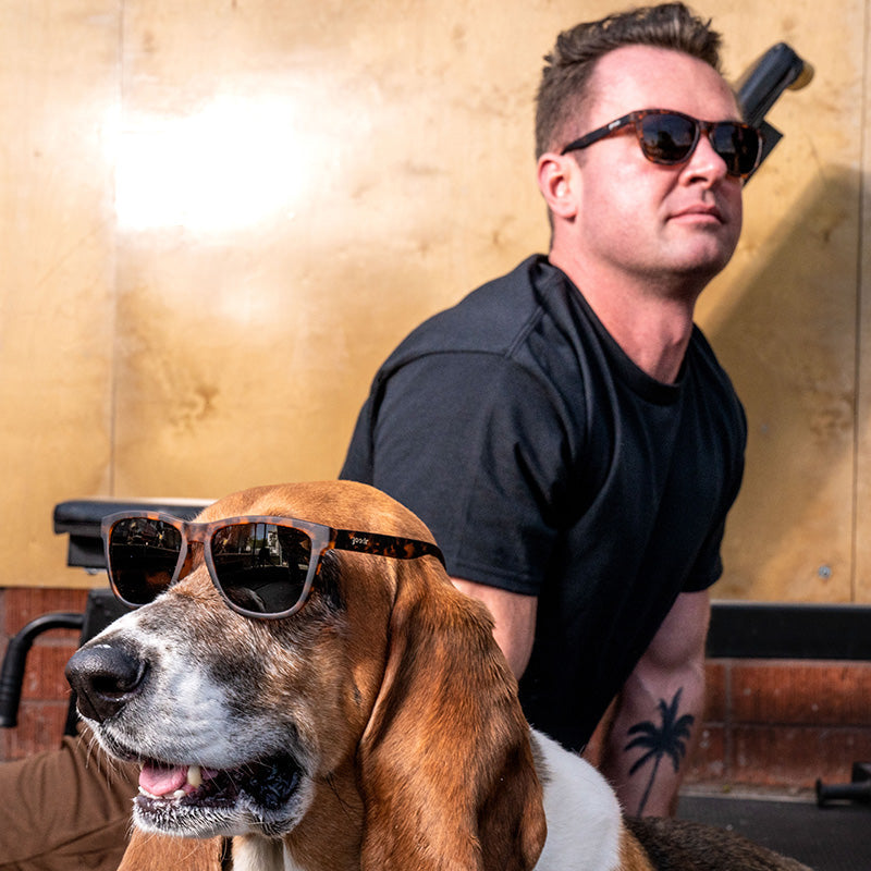 Ein Dachshund steht vor einem Mann, der in entgegengesetzte Richtungen blickt, beide tragen eine braune Schildpatt-Sonnenbrille.